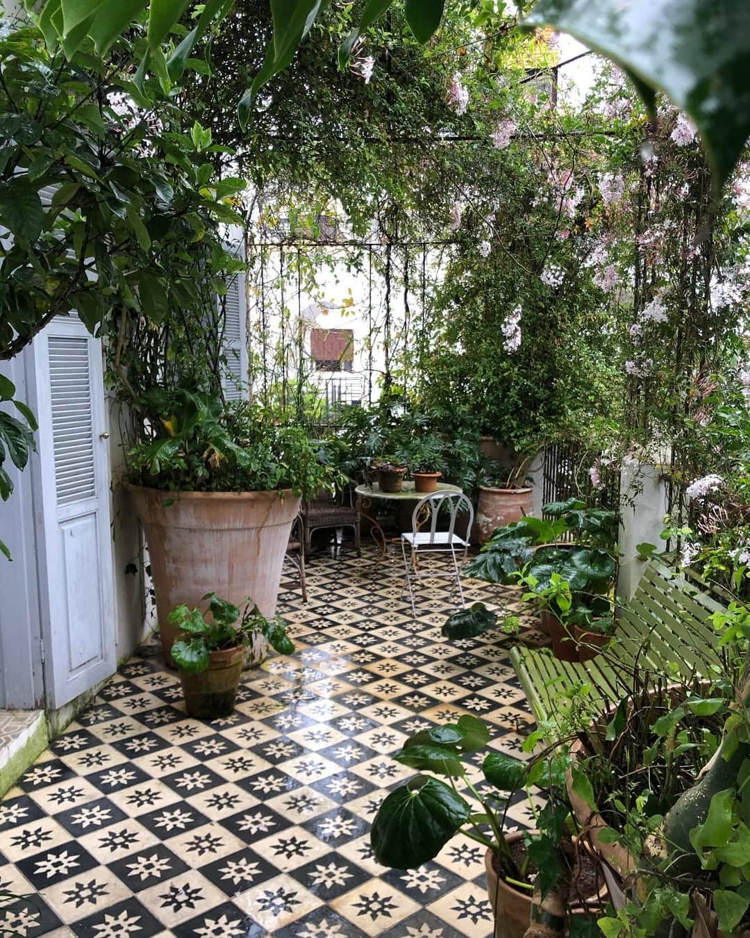 Home design trends 2025 idea featuring a indoor plants in a antique restored indoor gallery