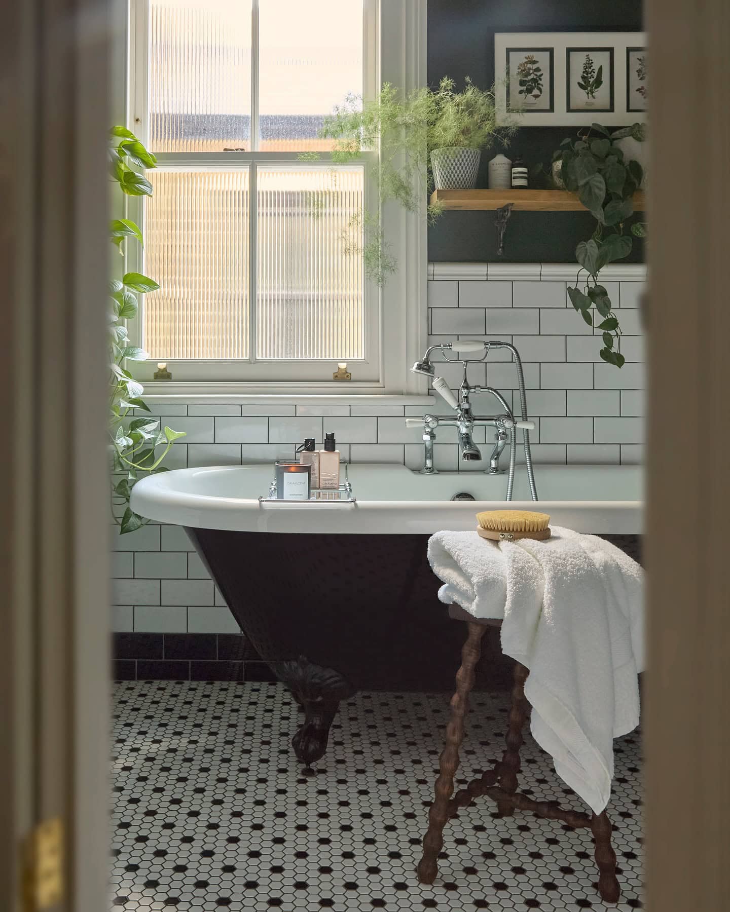 Home design trends 2025 idea featuring a indoor plants in remodeled antique bathroom