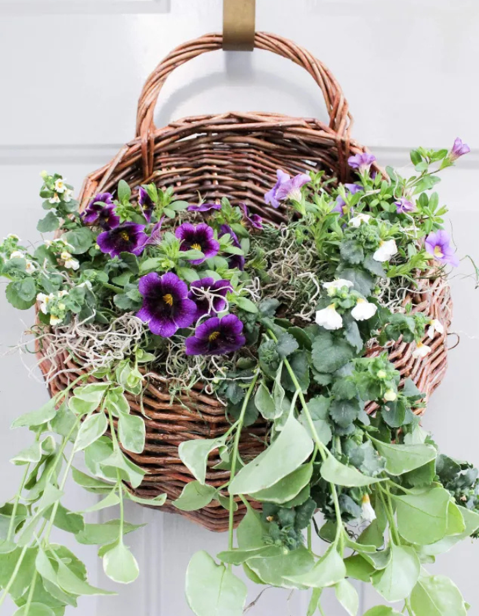 spring wreath for your front door idea featuring basket wreath with silvery greenery and purple florals