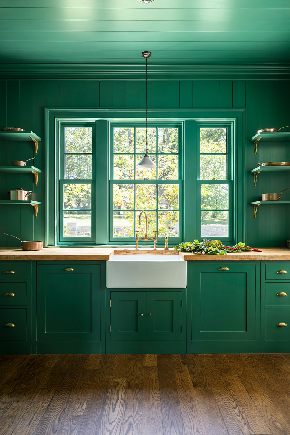 Color drenching idea showing a kitchen in deep green