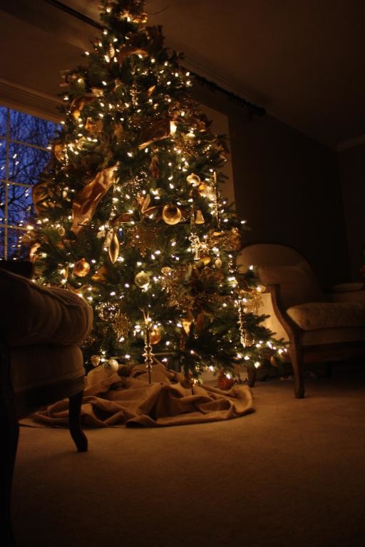 Ralph Lauren Christmas Tree Decor ideas featuring traditional living room moody color palette